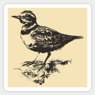 Hand drawn killdeer bird Magnet